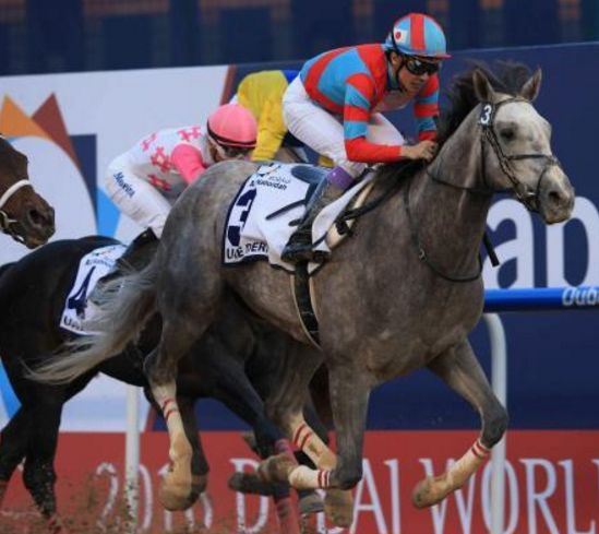 浅次郎競馬 Com 浅次郎競馬 Com